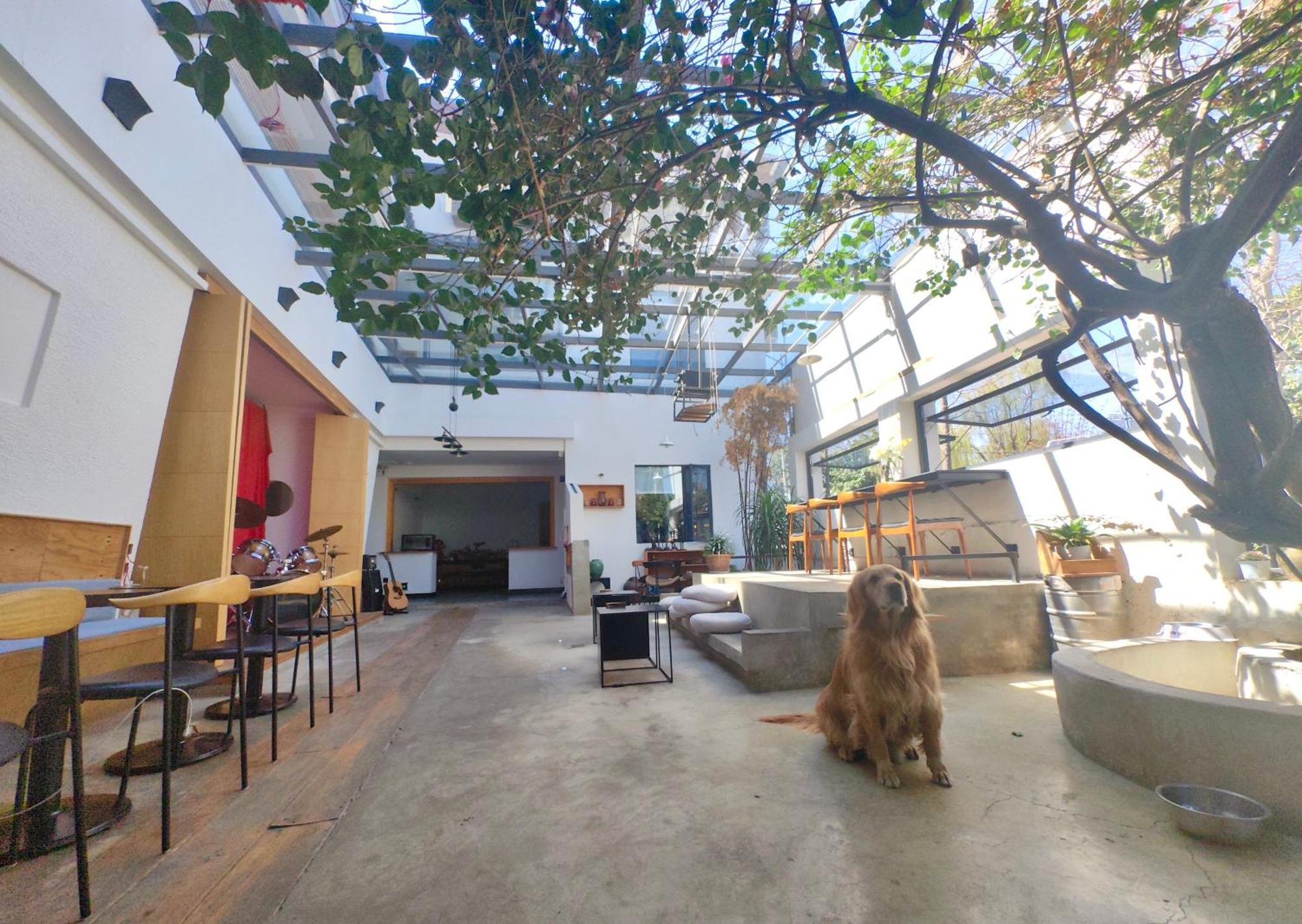 Dali Loft Travelling With Hostel Buitenkant foto